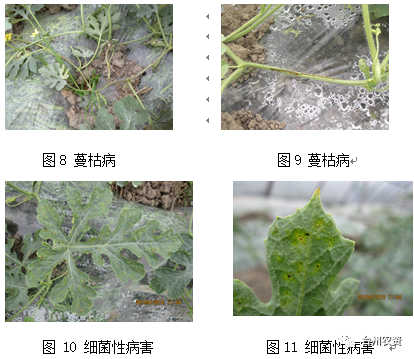 臺(tái)州農(nóng)資 臺(tái)州農(nóng)資