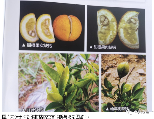 臺(tái)州農(nóng)資 臺(tái)州農(nóng)資