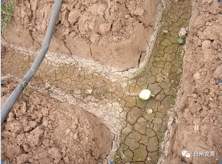 臺州農(nóng)資 臺州農(nóng)資